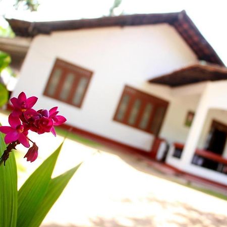 Celine'S Home Mirissa Exterior foto