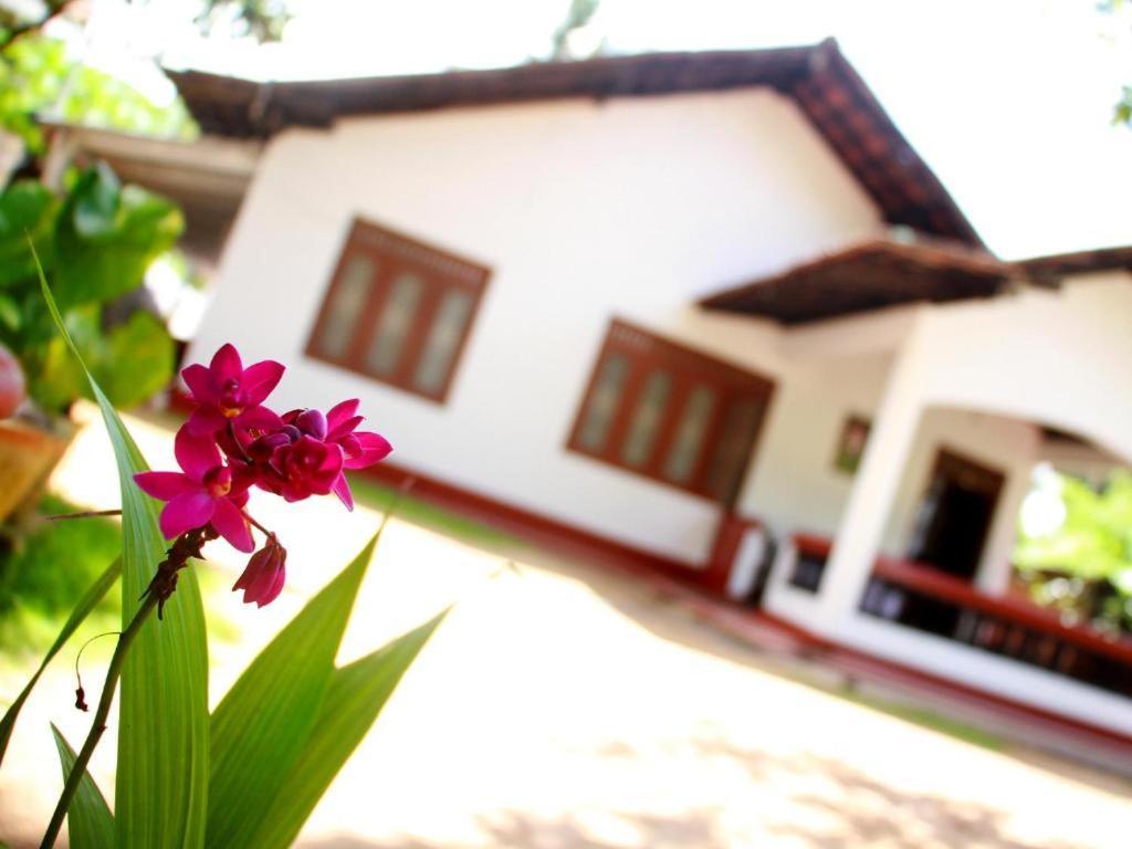 Celine'S Home Mirissa Exterior foto