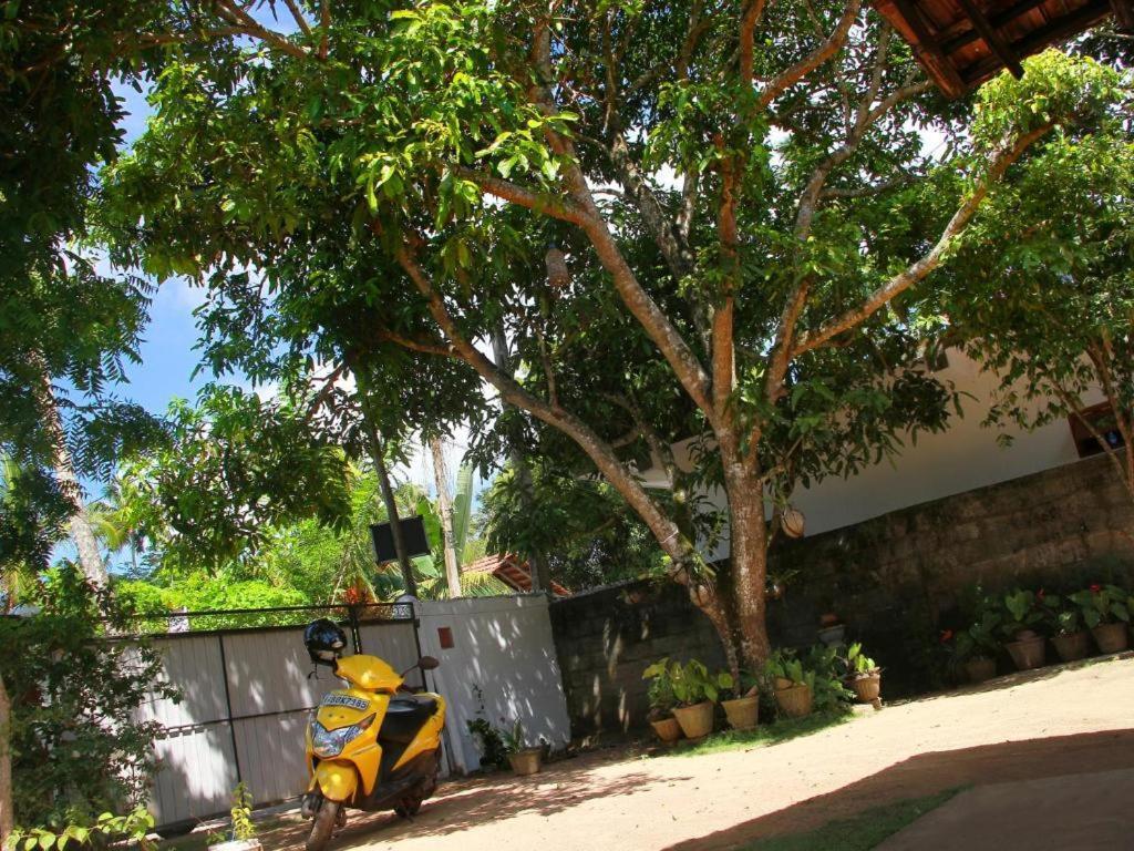 Celine'S Home Mirissa Exterior foto